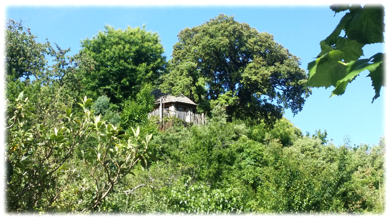 cabane-arbres-vue-loin tree house