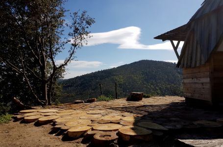 Printemps 2017 agrandissement de la terrasse en rondins.