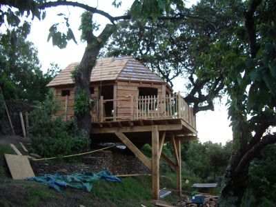 cabane_perchee-couverture_0