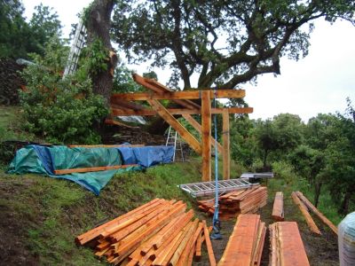 cabane_perchee-ossature
