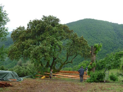 cabane_perchee-perpective-implantation