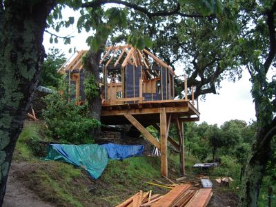 cabane_perchee-murs et la charpente