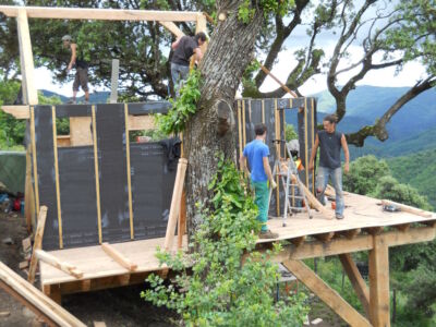 cabane_perchee-mur_charpente