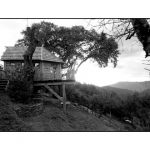 fred-goyeau_cabane1
