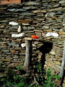 ps-etagere