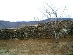 Proteger le pommier du vent du mt Lozere