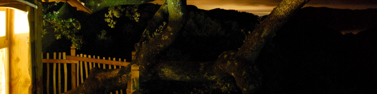 Permalien vers:Cabane dans les arbres